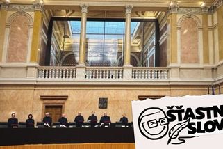 Nejde jen o Pavla. Střelba už míří i na Ústavní soud - Seznam Zprávy